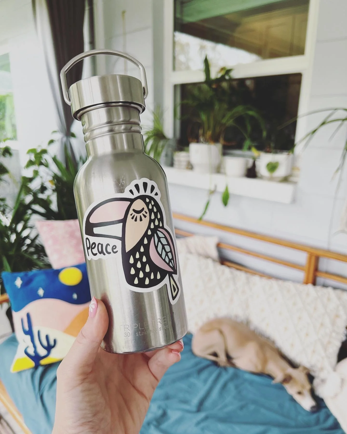 Toucan Water bottle sticker.jpg