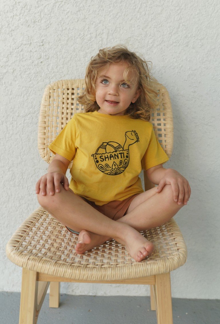 Shanti turtle shirt.jpg