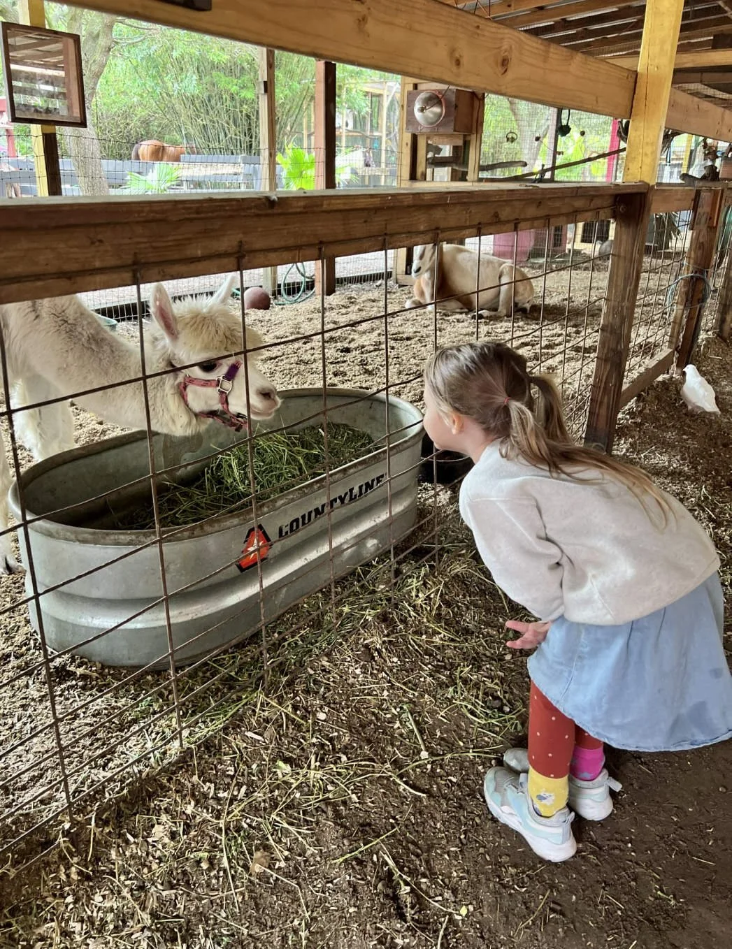Hippie Sheep Farm Pullover for Kids_003.jpg