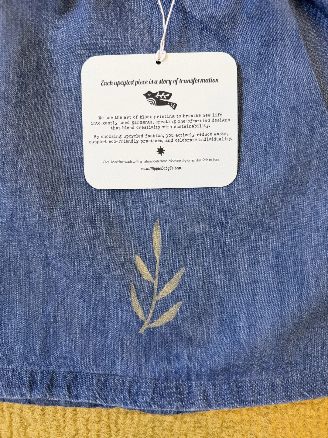 Photo Jan 20 2026, 1 00 12 PM.jpg