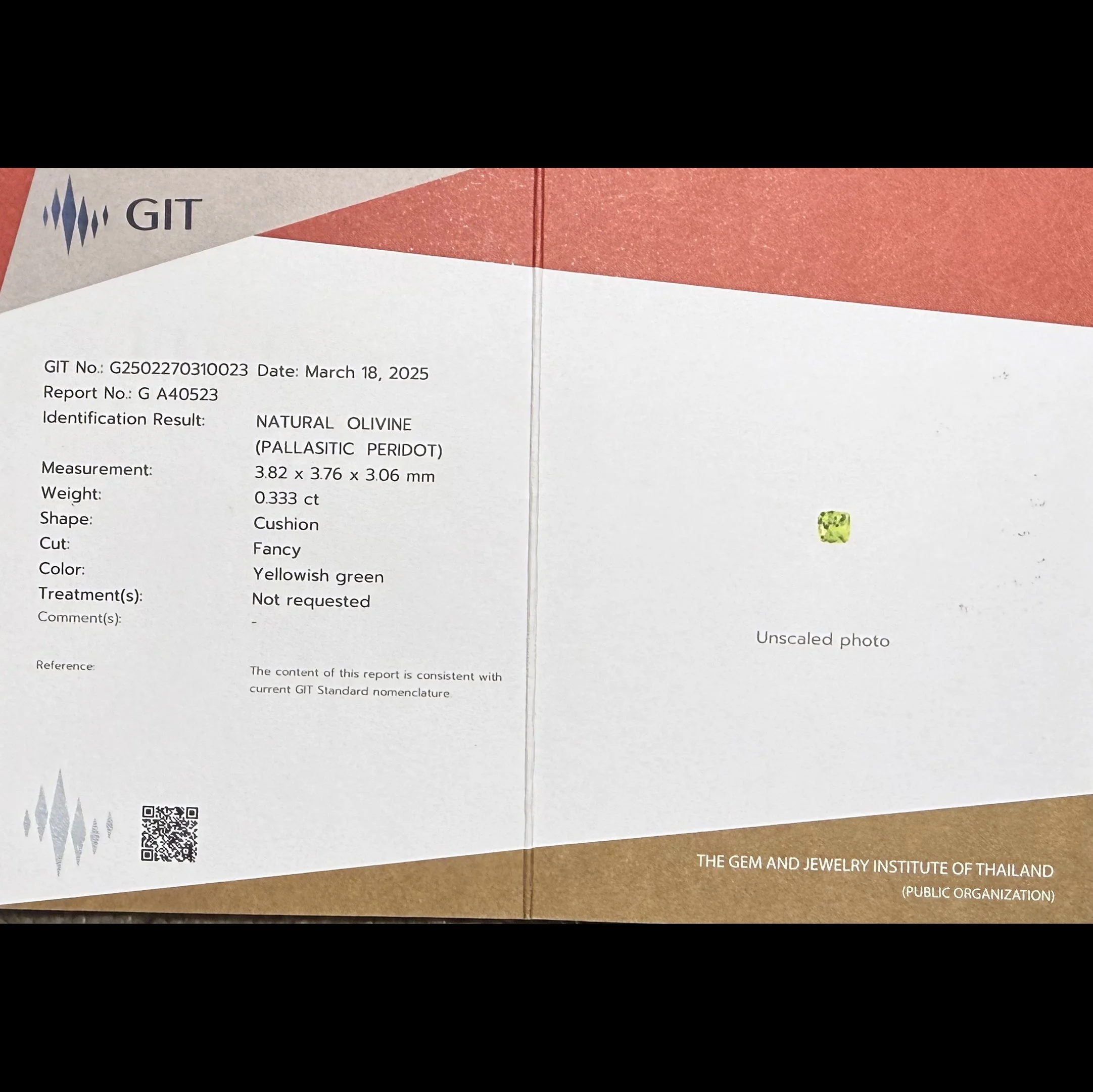 PallasitePeridot0.33ctV.jpg