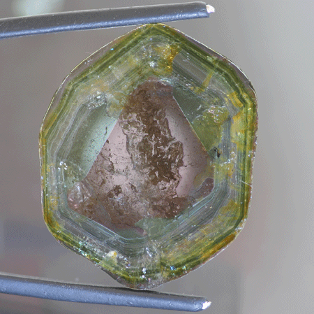 15.96 ct. Liddicoatite Tourmaline Slice