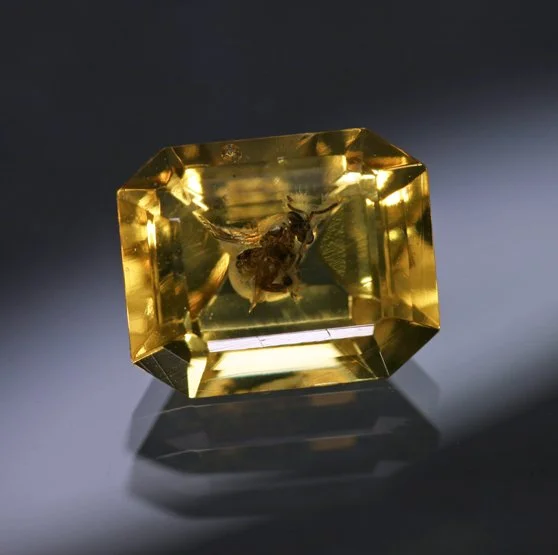 1.18 ct. Amber with Insect