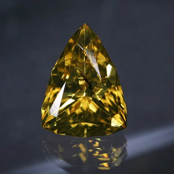 *RESERVED* 3.94 ct. Amber with Winged Insect