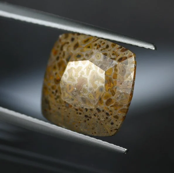 6.46 ct. Dinosaur Bone