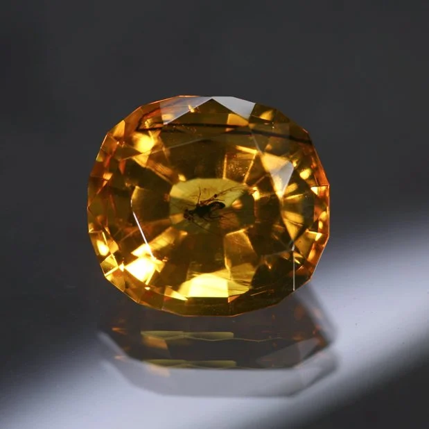2.23 ct. Amber with Winged Insect