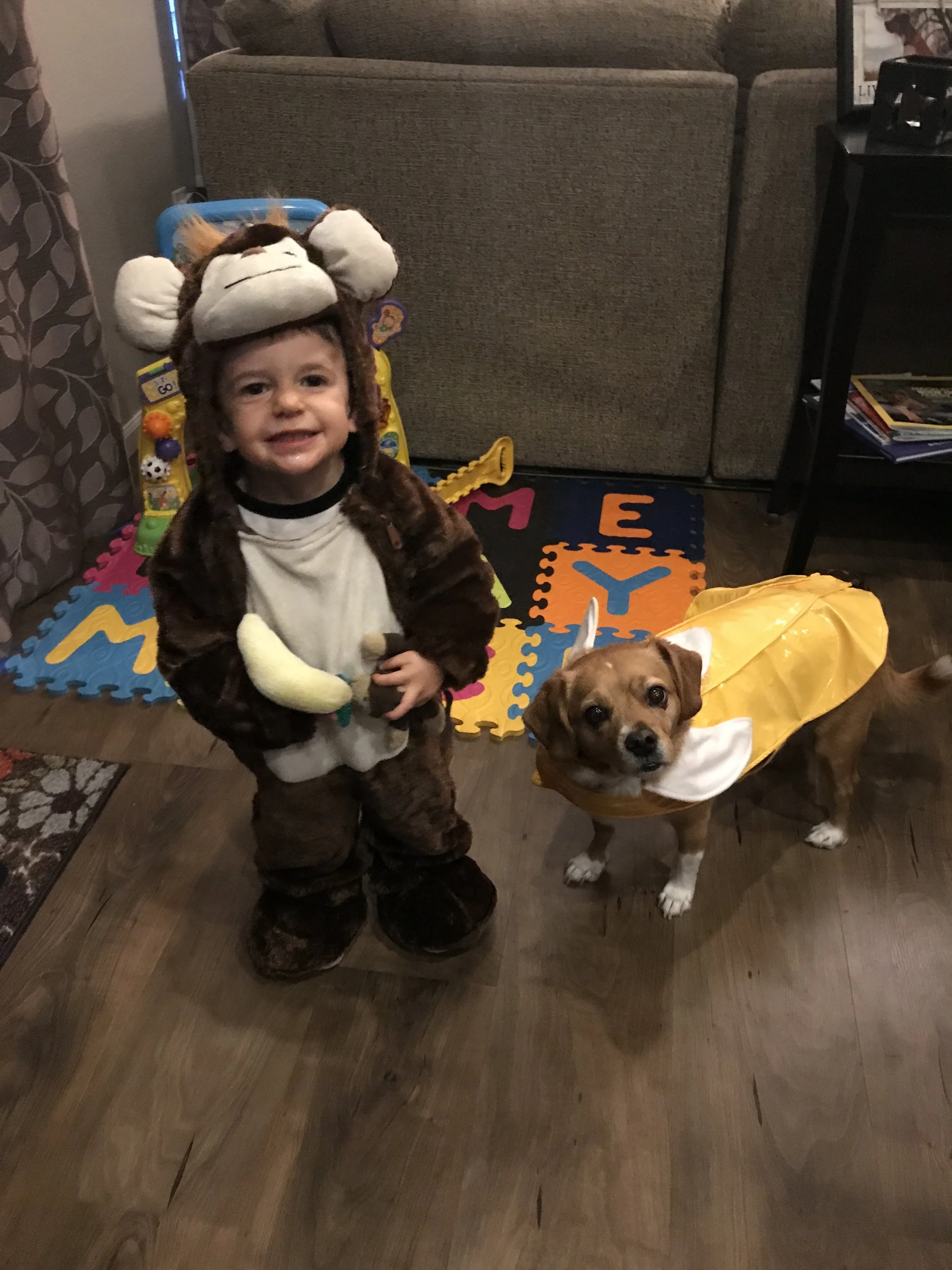 Pet Costumes