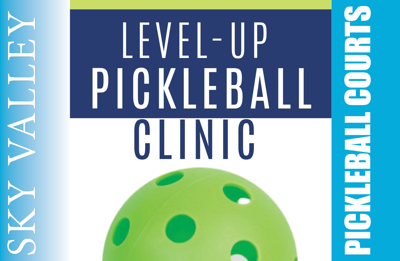 Level-Up Pickleball Clinic