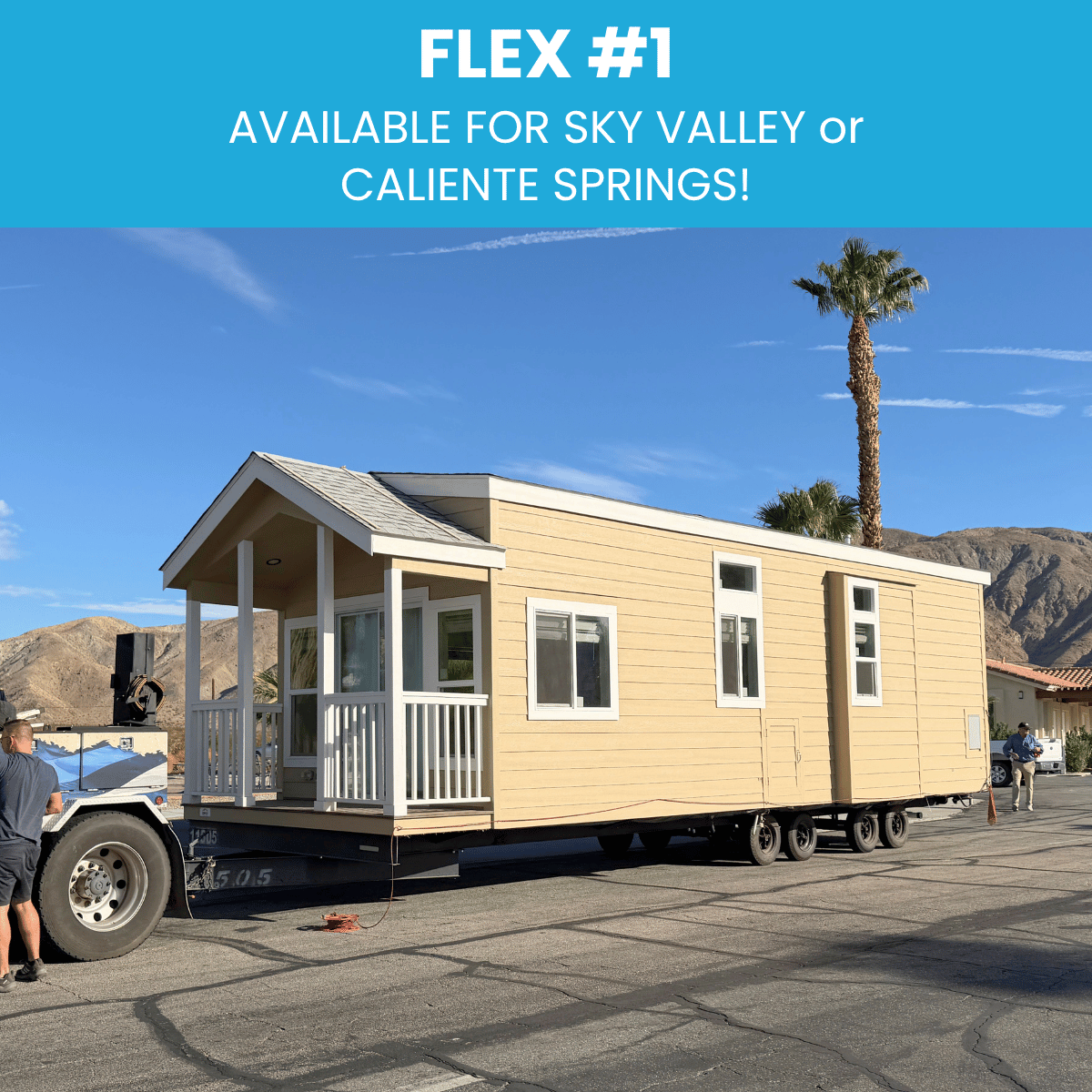 Flex #1 - Coming Soon!