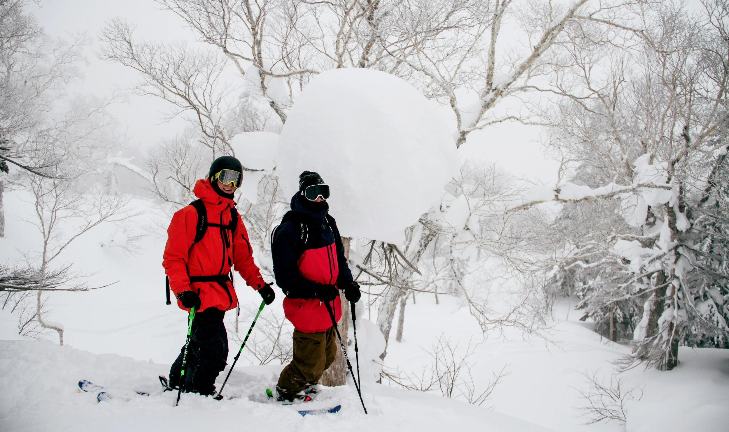 Mountain Hosts