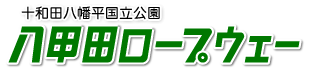 logo.png