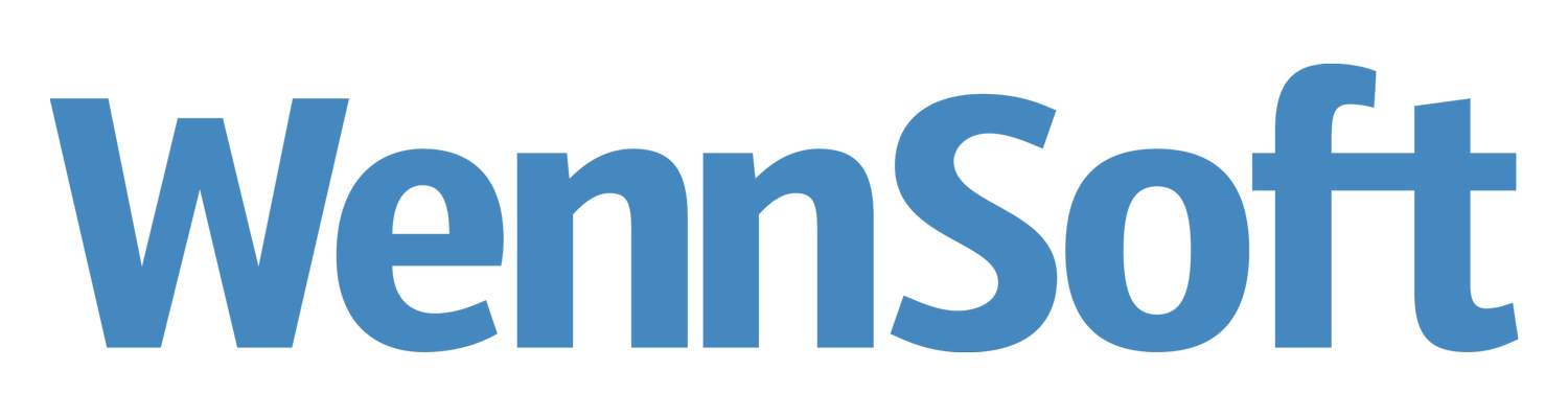 WennSoft Logo