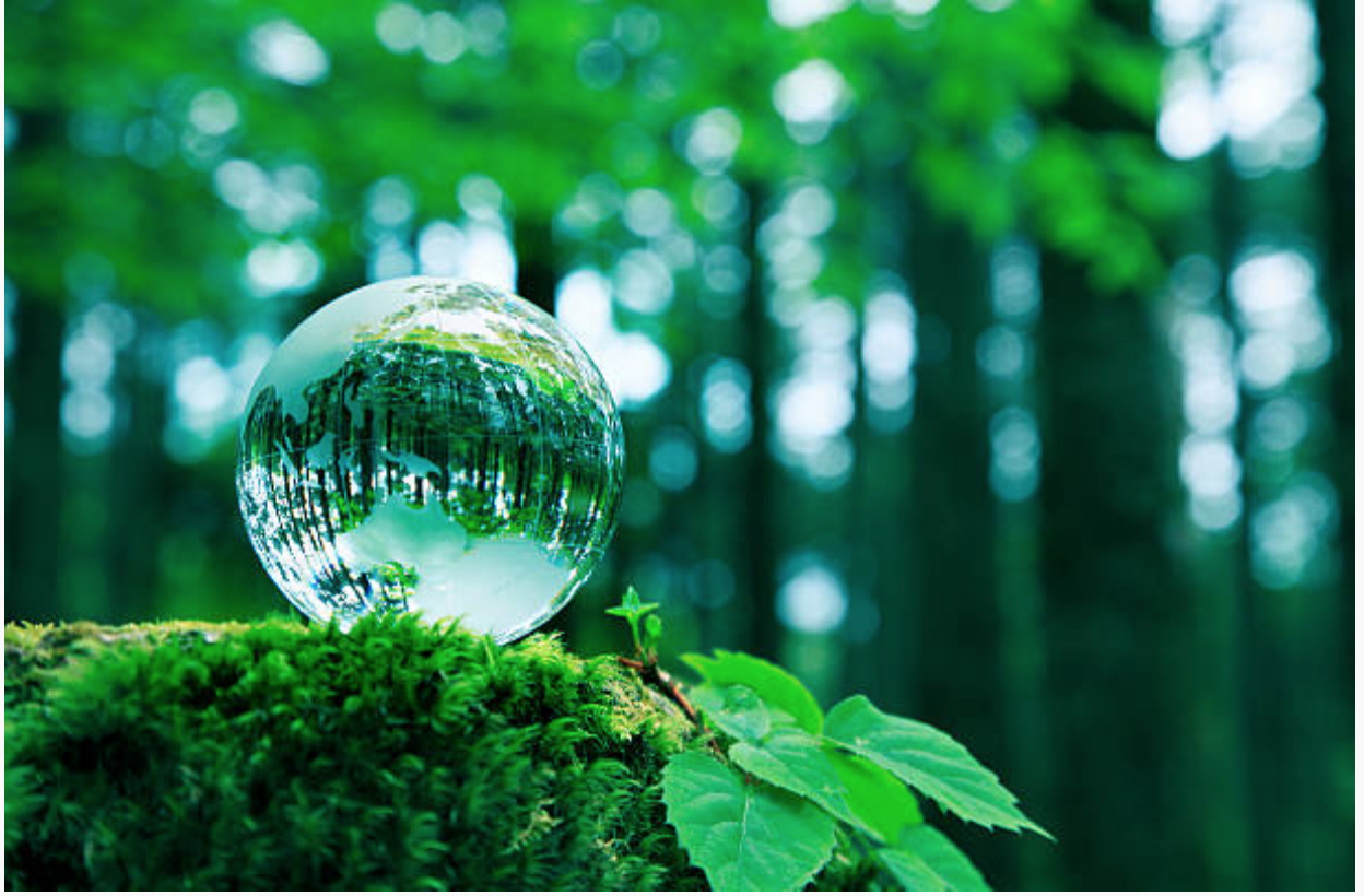 Screen Shot 2018-06-03 at 6.08.16 PM.png