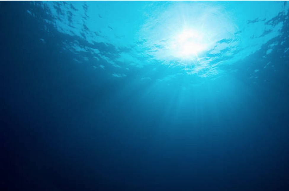 Screen Shot 2018-06-03 at 6.15.38 PM.png