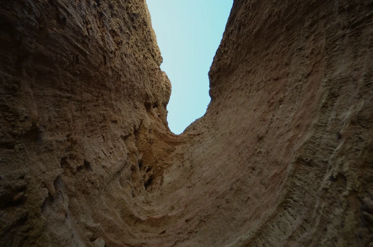 Taurus’ roots.
