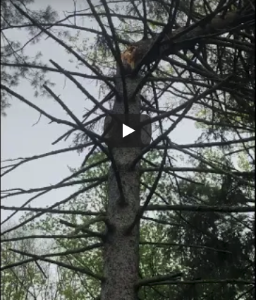 THE POWER OF WIND