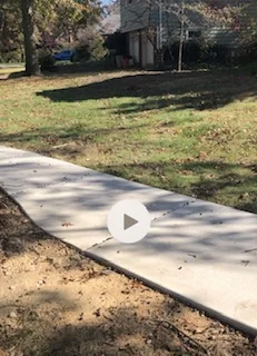 Tree roots VS the Sidewalk