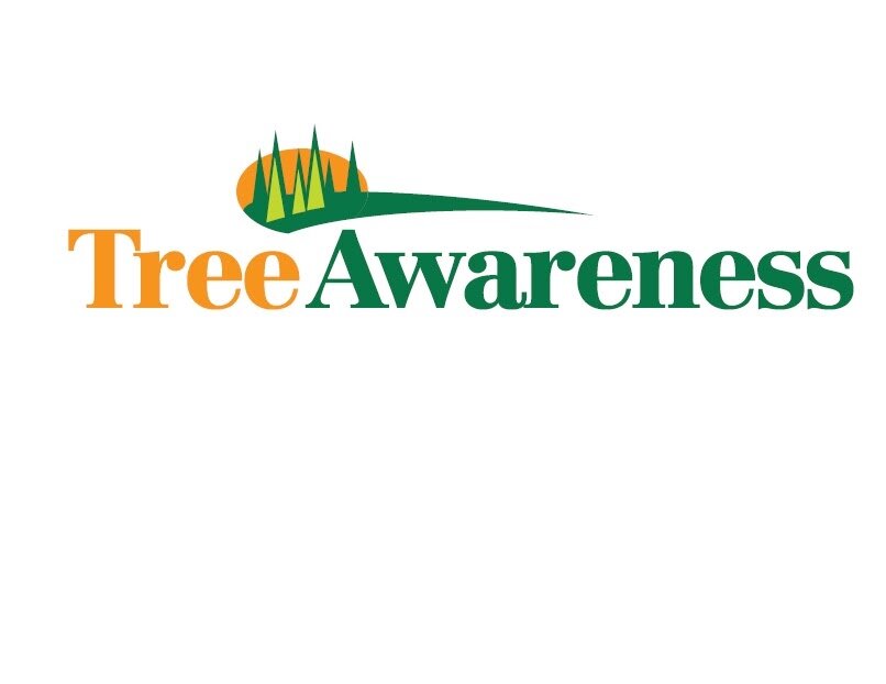 What Goes Into An Estimate Price?