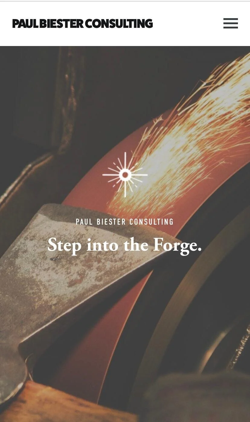 Paul Biester Consulting