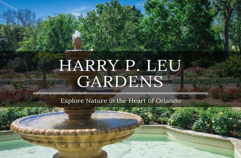 LET'S TAKE A FIELD TRIP TO THE HARRY P. LEU GARDENS, ORLANDO FLORIDA