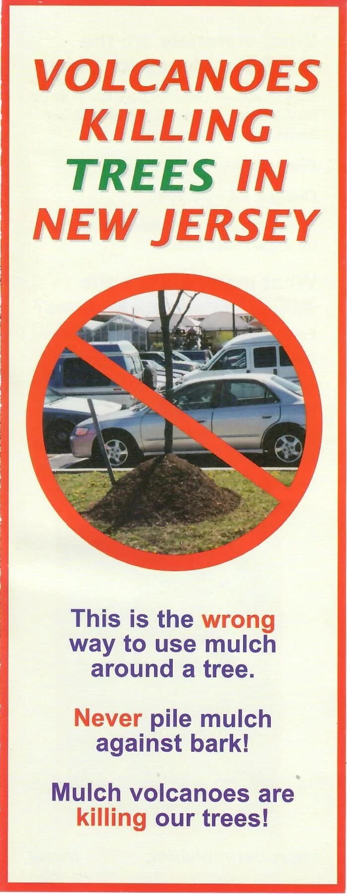 Mulch volcanoes are killing our trees!