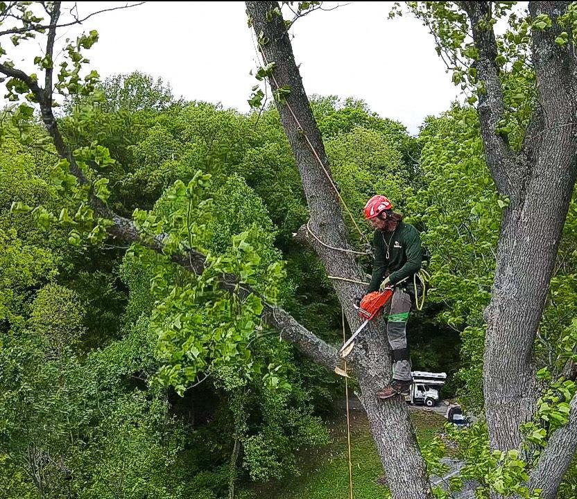 GUEST CLIMBER/TRAINER DERRICK MARTIN JOINS THE CREW FOR A COUPLE DAYS