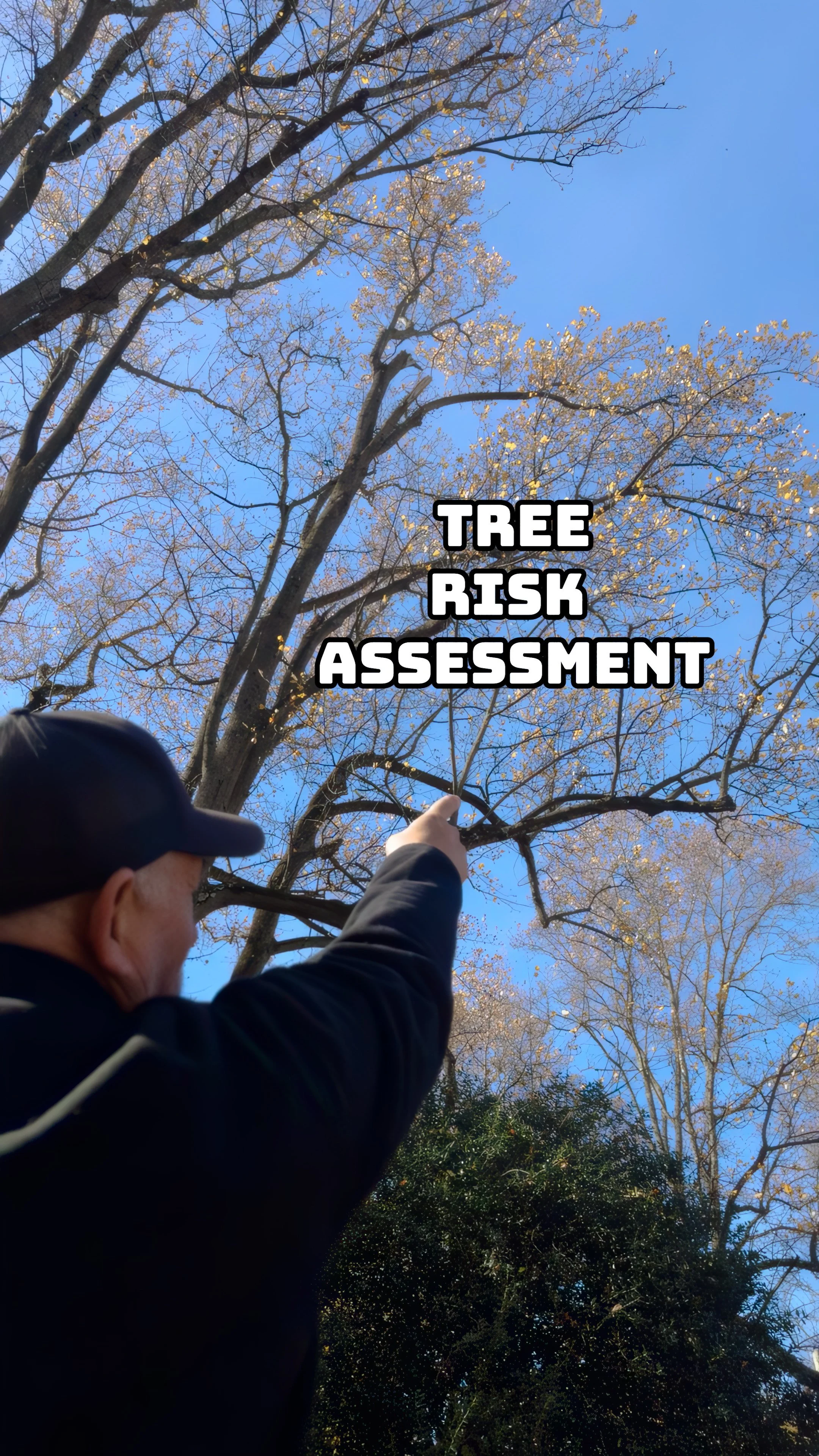VISUAL TREE RISK ASSESMENT IN THE WINTER MONTHS