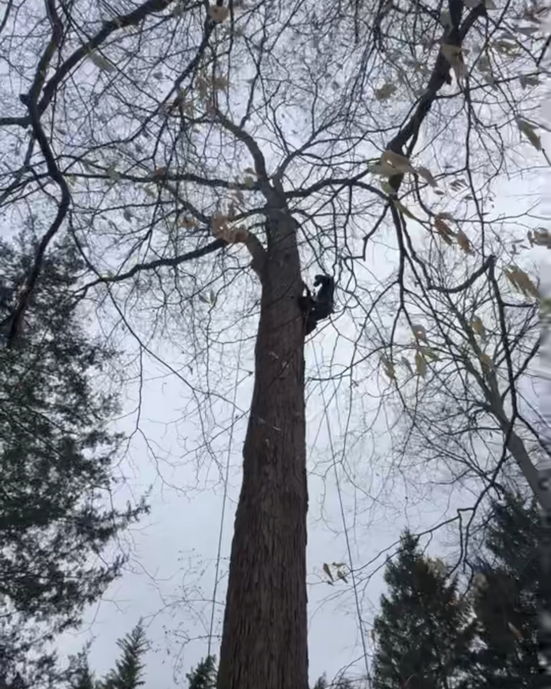 Drill Testing in Haddonfield