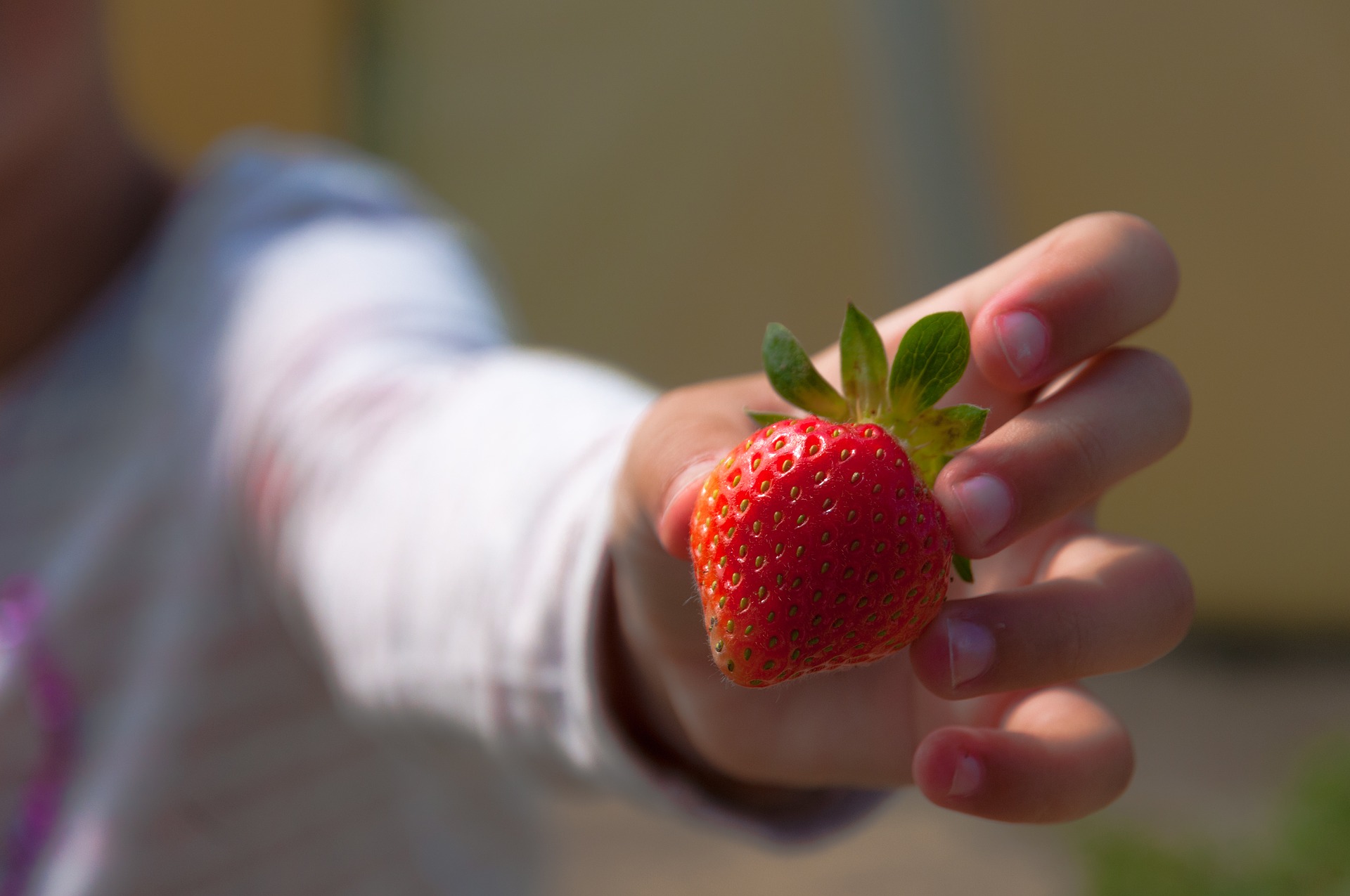 strawberries-1955280_1920.jpg