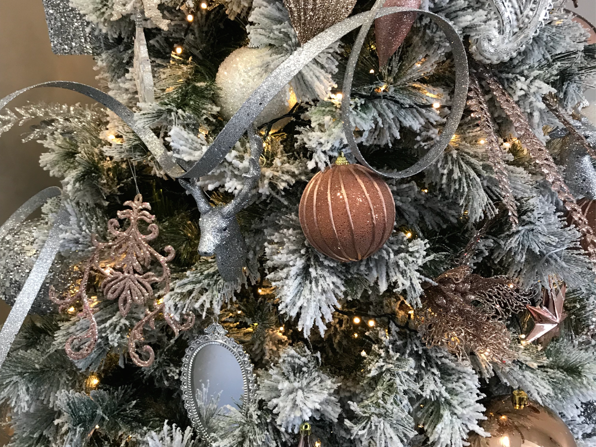 GB_Photo_Festive_Web-01-01-01.png