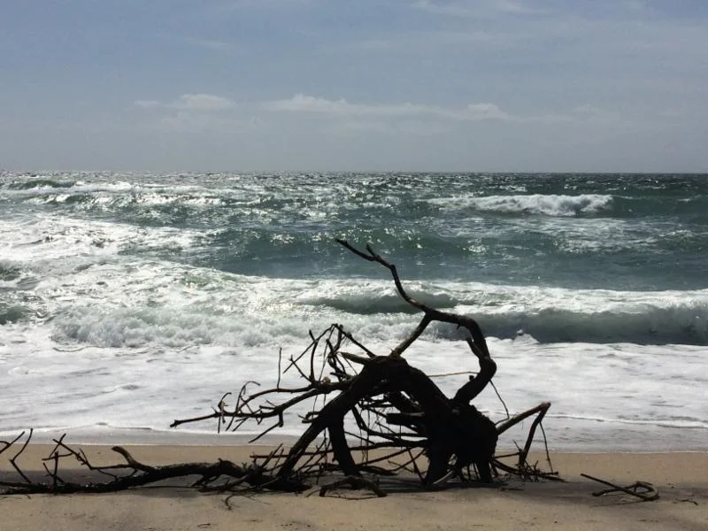 WATER Nantucket.jpg