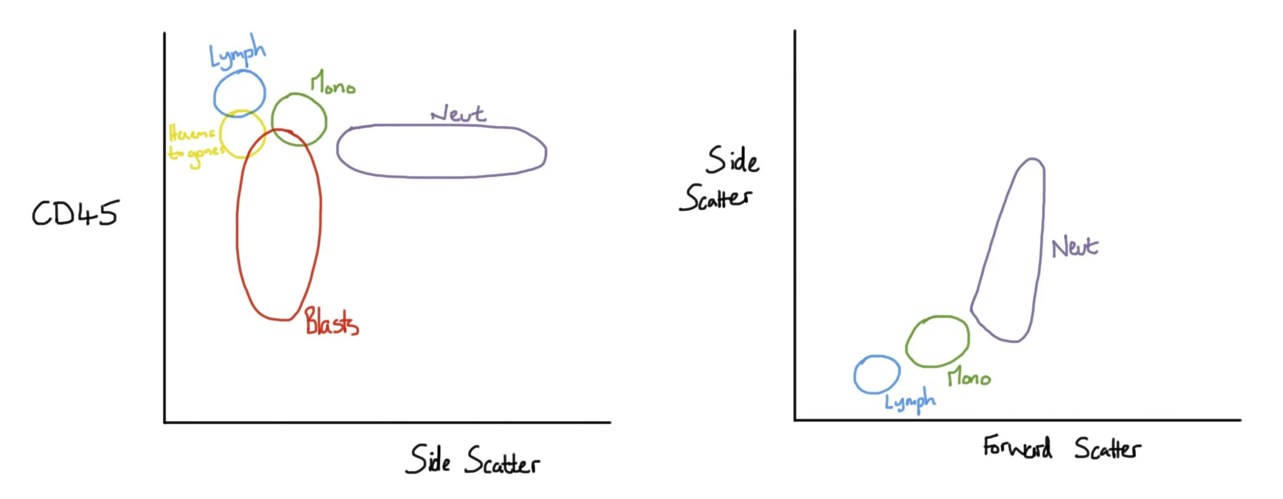 Normal flow charts1.jpg