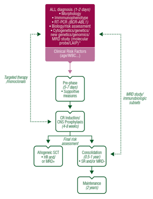 Source: ESMO Guideline