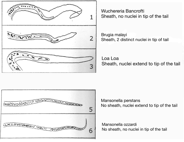 Source: This is a paper chart in my local lab with no author given. Will of course amend if anyone recognises this.