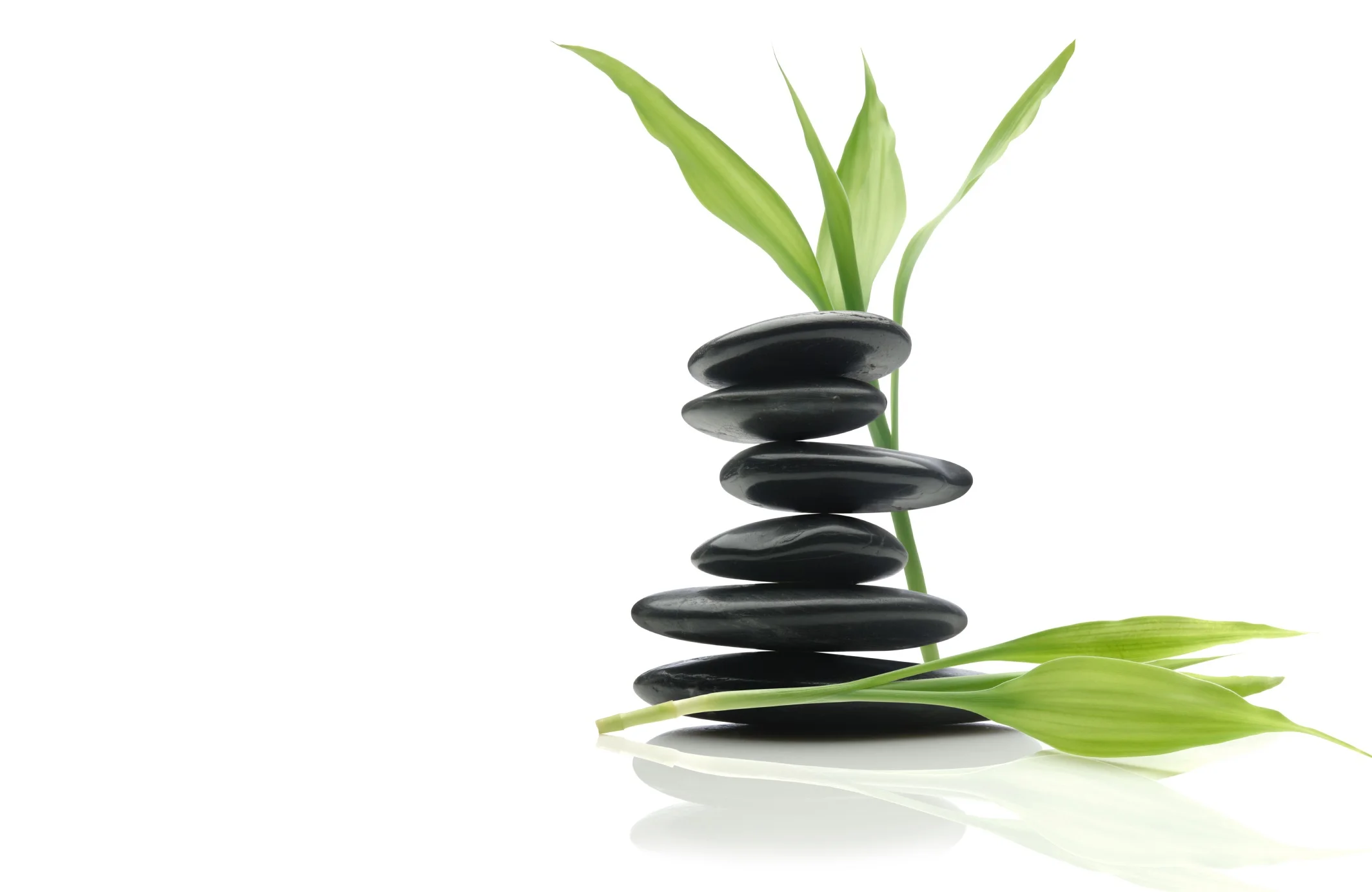 iStock_000007009907Medium2.jpg
