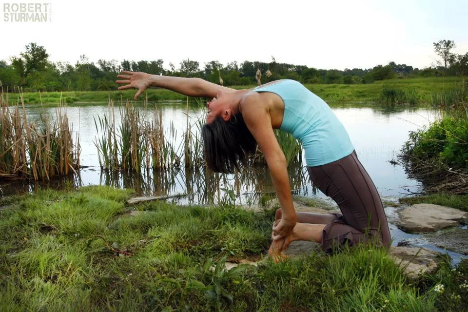 Advanced Asana: Baby Steps to Big Poses eBook