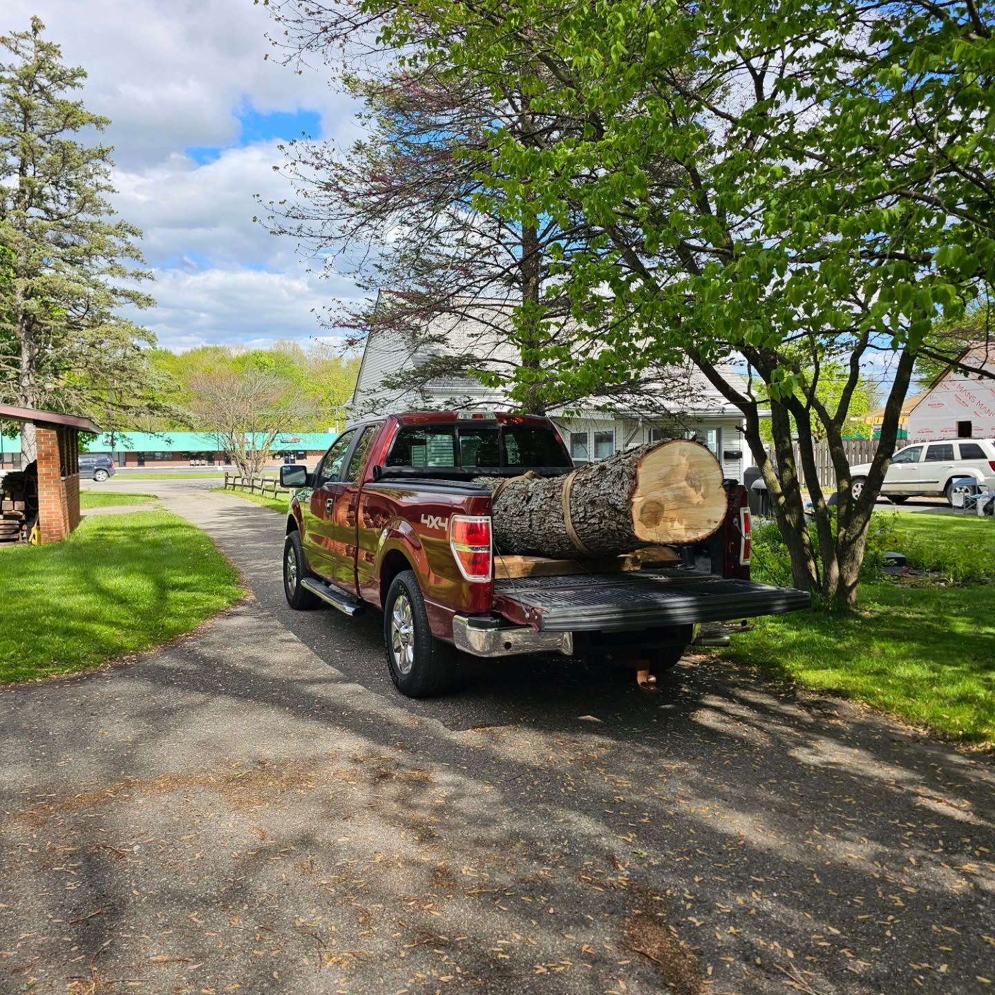 One of the bonuses of visiting my parents.  There seems to be an abundance of down trees by them. Free maple!  I haven't played with my sawmill in far too long.