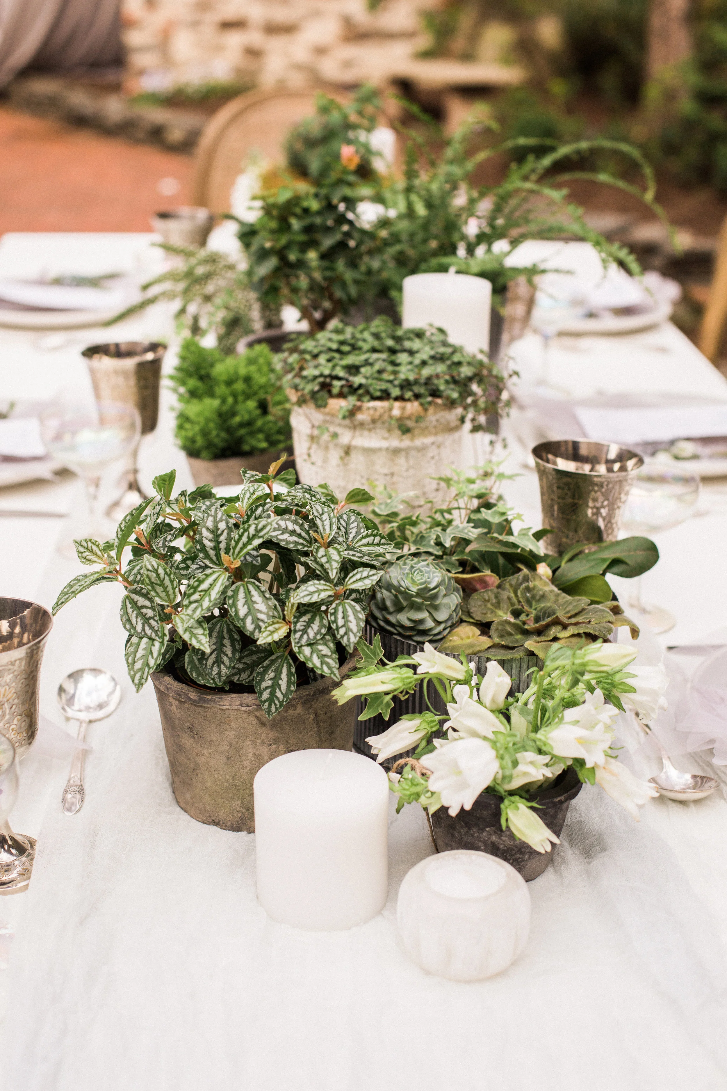 Hudson-Nichols-Rustic-Silver-Sage-2016_017.jpg