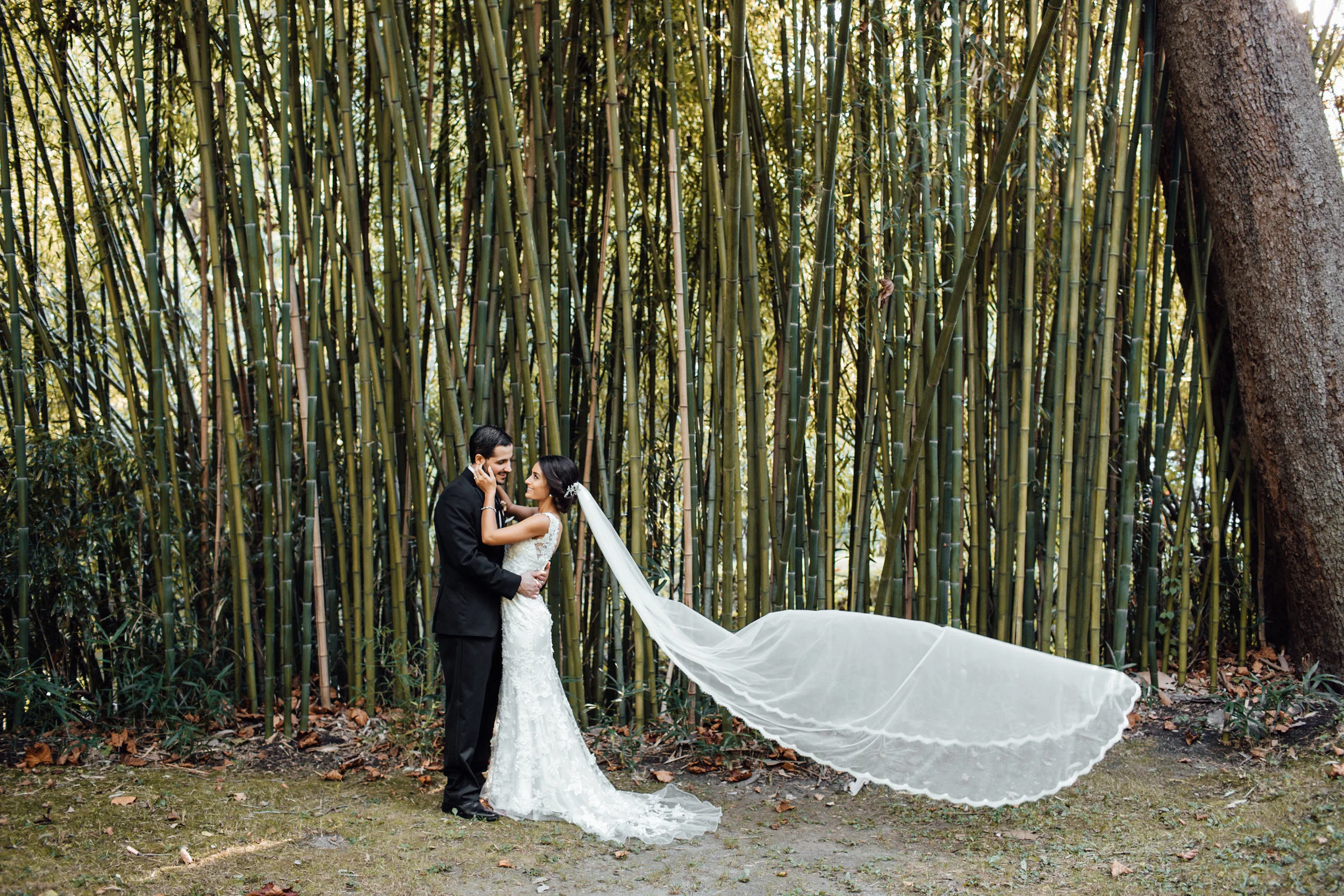 IESHAandSAL-bridegroom(71of180).jpg