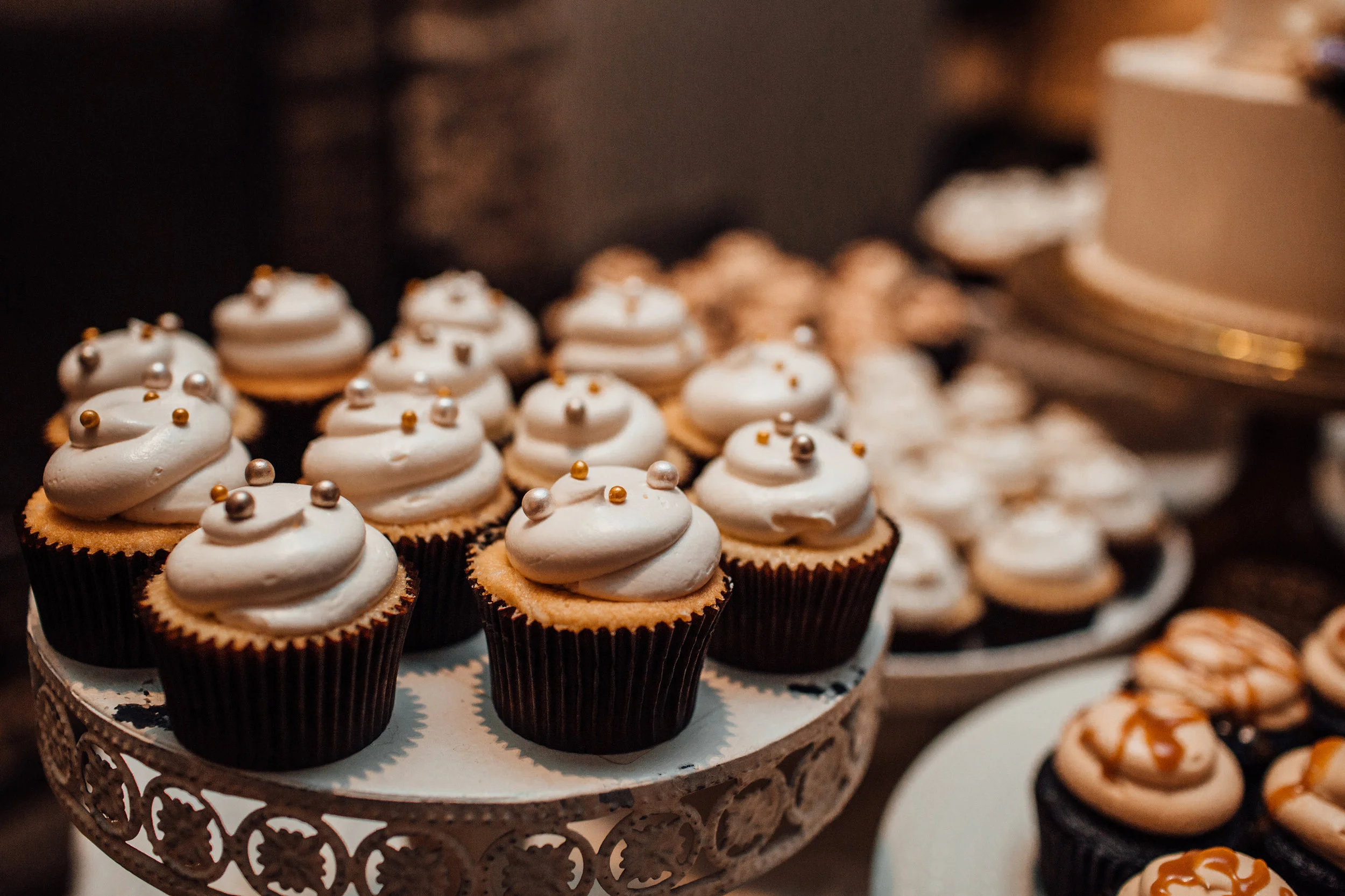 IESHAandSAL-reception(32of255).jpg