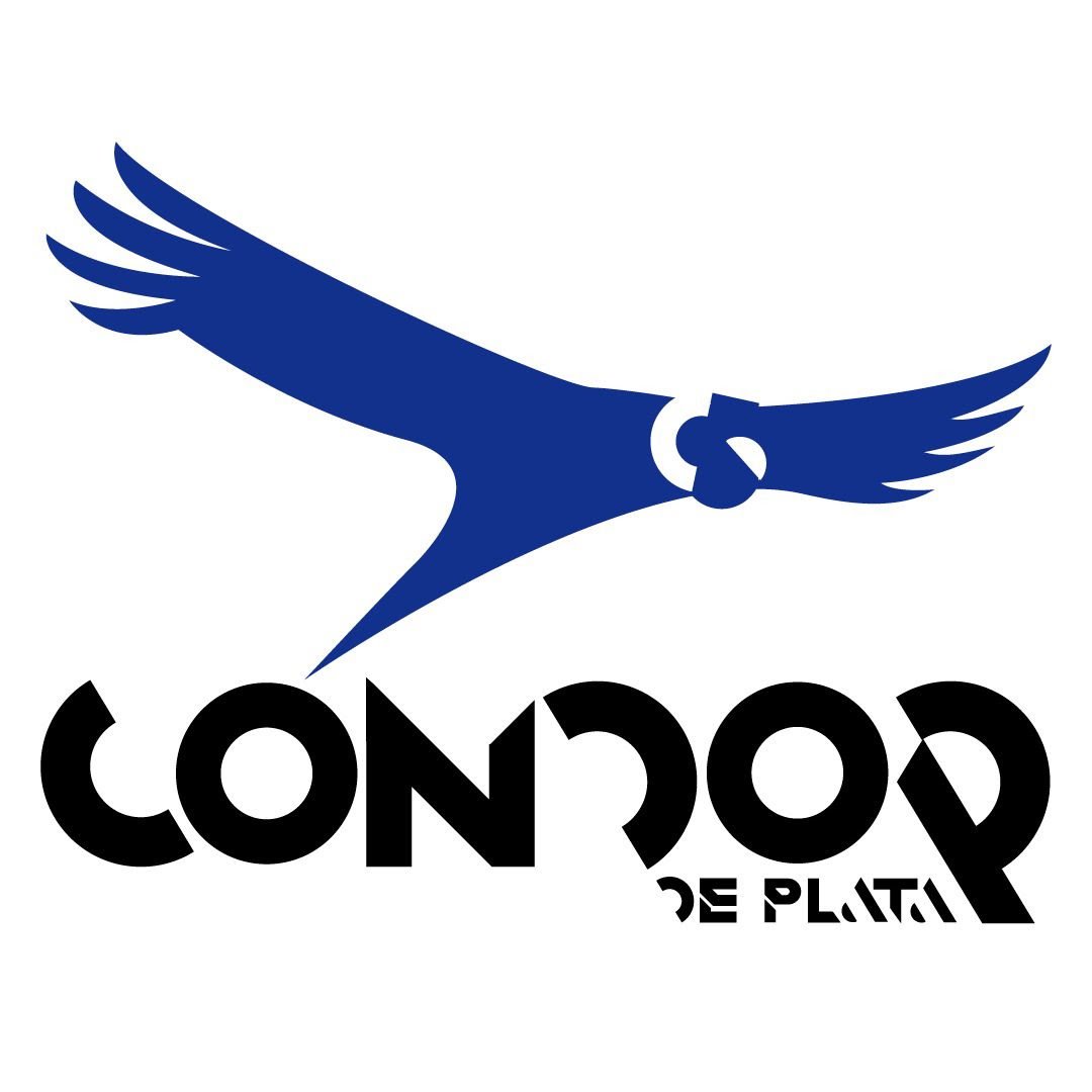 condor de plata.jpeg