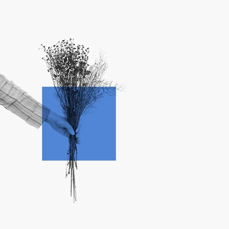 people-analytics-mao-segurando-buque-em-tons-de-cinza-com-quadrado-azul.png