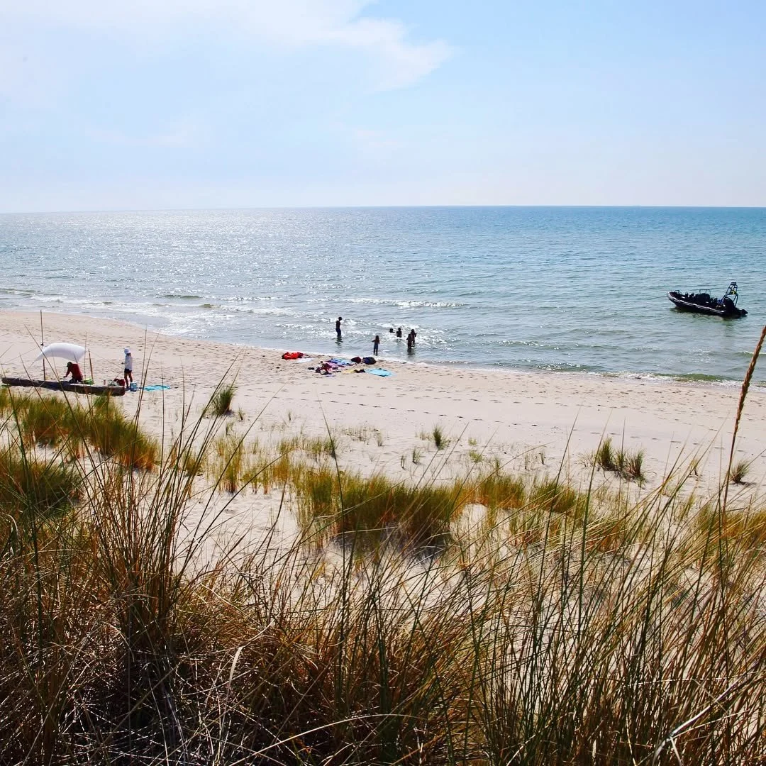 Wow! En helt otrolig dagstur till Gotska Sand&ouml;n ☀️ och h&auml;rliga g&auml;ster! 
#gotlandrib #gotland #f&aring;r&ouml; #visby #sudersand #bungen&auml;s #f&aring;r&ouml;sund #gotlandstips