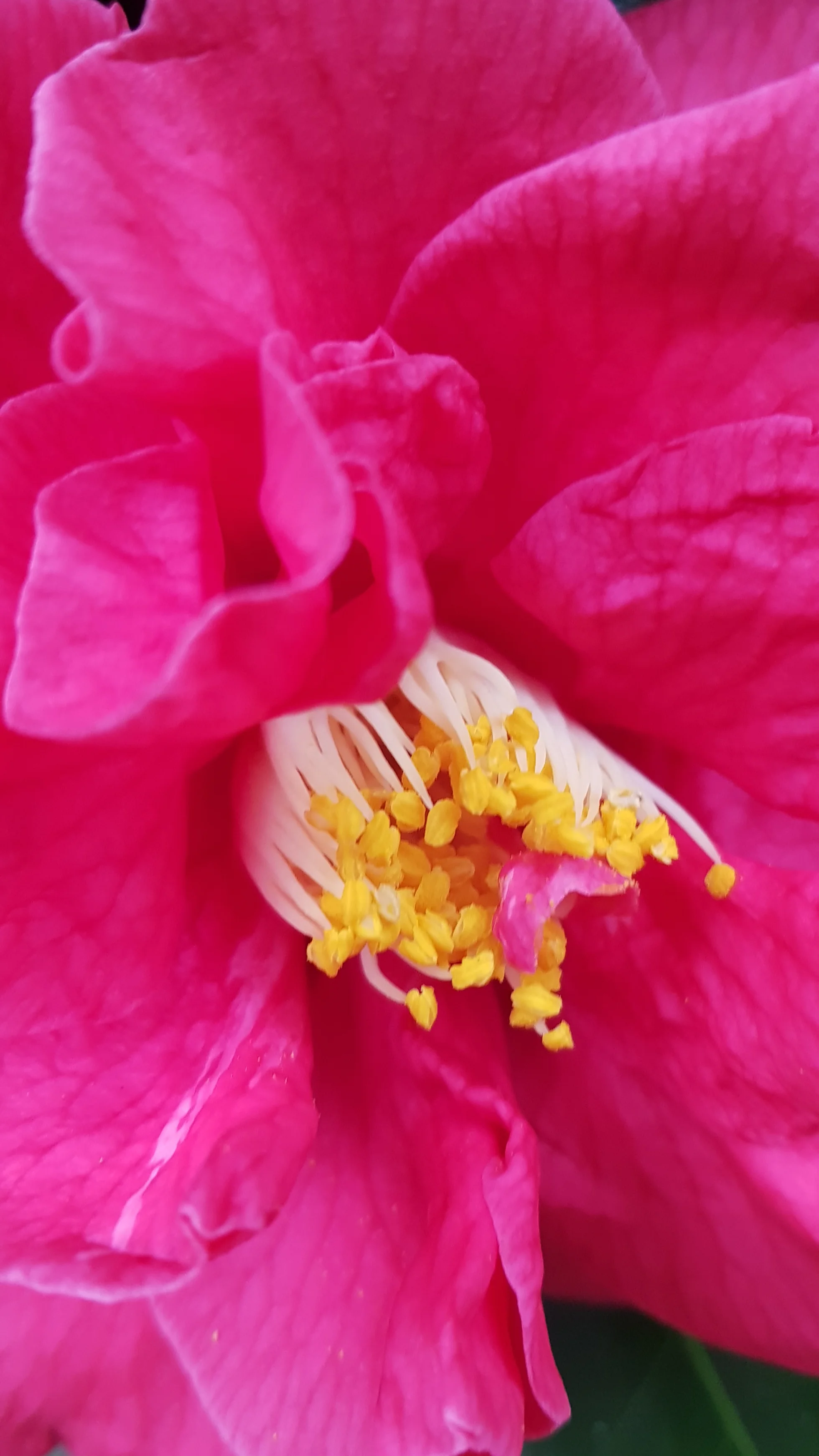 20190319_152244.jpg