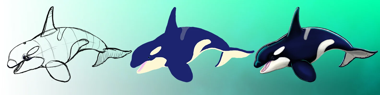 orca stages.jpg