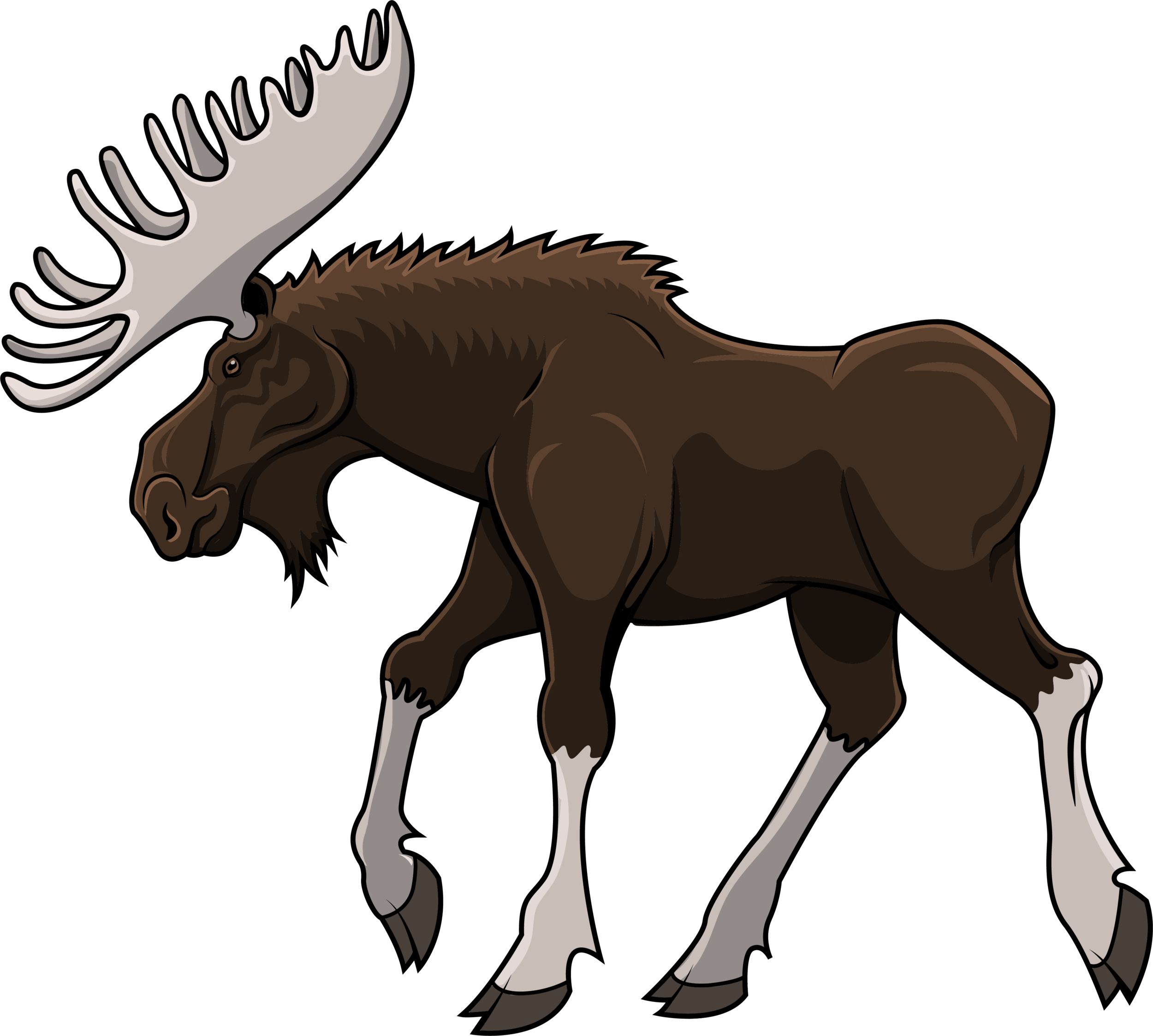 Moose