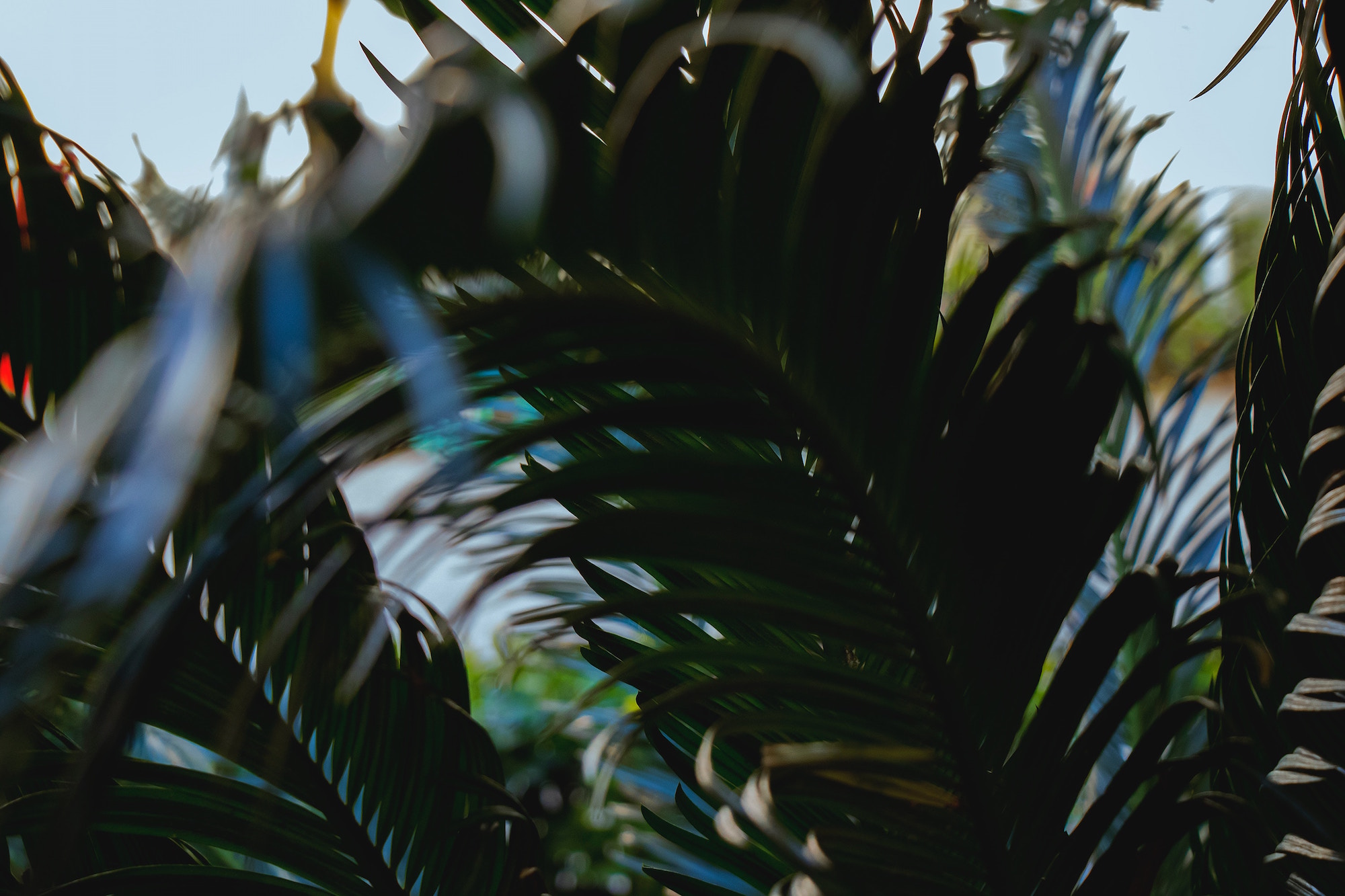 arash-asghari-603247-unsplash.jpg