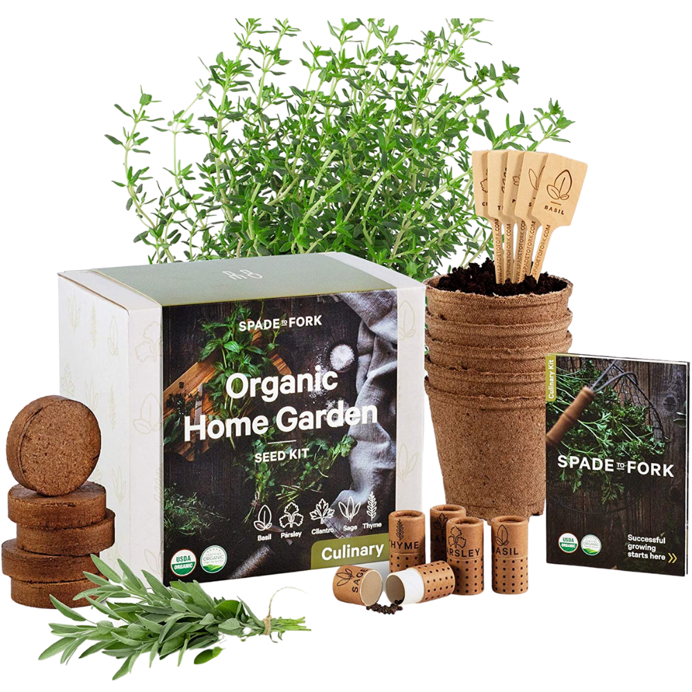 Wellness gifts for the home chef: herb garden