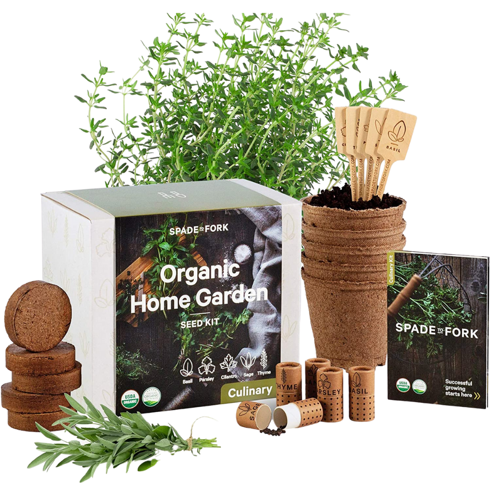 Organic home herb garden