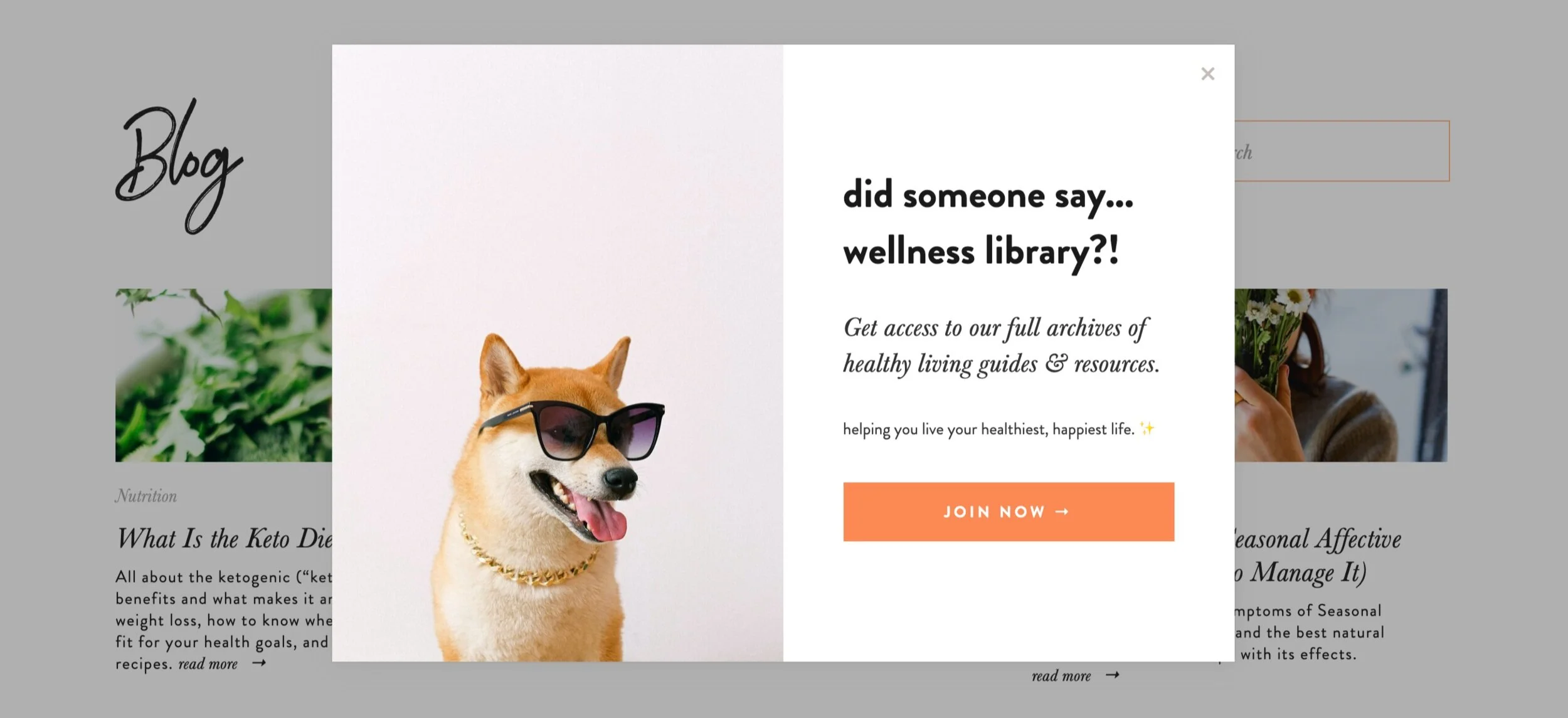 Health coach email opt-in with Squarespace, how to set up email opt-ins on your Squarespace website // Four Wellness Co. for health coaches: business tips and resources for health coaches and wellness entrepreneurs